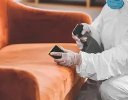 Jak przygotować mieszkanie do dezynsekcji, aby uniknąć problemów?