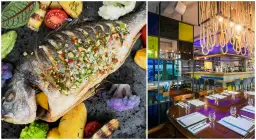 Serock gdzie zjeść – najlepsze restauracje i smaki, które musisz poznać