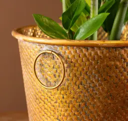  Doniczki vintage retro - stylowe donice ceramiczne w klimacie retro