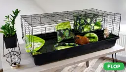 Domek dla świnki morskiej DIY: Zbuduj bezpieczną kryjówkę!