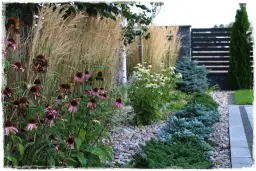 Idealne towarzystwo dla krzewuszki: Kwitnąca rabata marzeń!