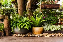 Jak zaprojektować ogród krok po kroku i uniknąć typowych błędów