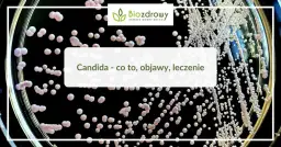 Candida objawy psychiczne: jak przerost grzybów wpływa na umysł