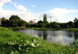 Jezioro Gocławskie: tajemnice, ekologia i kontrowersje w Warszawie