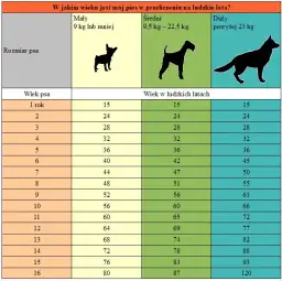 Ile lat ma pies 12-letni? Poznaj prawdziwy wiek swojego pupila