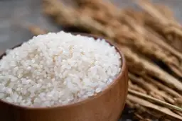 Czy ryż jest dobry na odchudzanie? Odkryj prawdę o jego wpływie