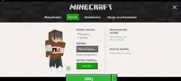 Jak zrobić skiny do Minecraft, aby wyróżnić się w grze