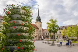 Najlepsze atrakcje w Skawinie, które musisz zobaczyć podczas wizyty