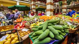 Madera co warto kupić: unikalne pamiątki i lokalne specjały