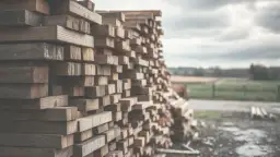 Ile kosztuje drzewo na dach 200m²? Ceny i co musisz wiedzieć