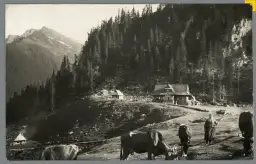 Kto robił szlaki w Tatrach? Historia i twórcy szlaków górskich