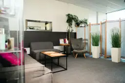 Nowoczesne wnętrze spa z szarymi sofami, fotelem, stolikami i roślinami.