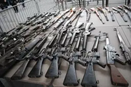 Kiedy nowa ustawa o broni i amunicji? Oto, co musisz wiedzieć