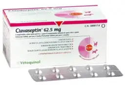 Clavaseptin dla psa: Skuteczny antybiotyk? Dawkowanie i co musisz wiedzieć