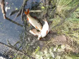 Gdzie na ryby Mazowieckie PZW? Odkryj najlepsze łowiska i zasady