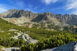 Zakopane szlaki: Co warto zobaczyć? Przewodnik od dolin po szczyty