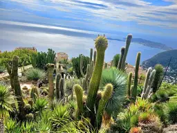 Jak dojechać z Nicei do Eze: Najtańsze i najwygodniejsze opcje podróży