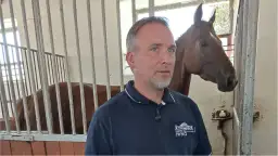 Stadnina koni Dębno Adam Lachera - historia, usługi i kontakt