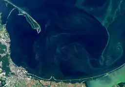 Jak wyglądają sinice w Bałtyku i jak mogą zagrażać zdrowiu