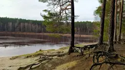 Moszczonne - ukryta wieś z pięknym jeziorem i lokalnymi atrakcjami