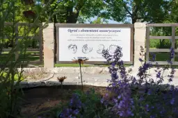 Jak stworzyć ogród sensoryczny dla dziecka? Praktyczny przewodnik