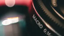 Jak zrobić obiektyw makro i uzyskać niesamowite zdjęcia bez wydatków