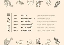 Dieta sokowa efekty: zestawy soków na detoks, regenerację, młodość, odporność, witalność i harmonię. Składniki: jarmuż, imbir, mango, burak, kiwi, jabłko.