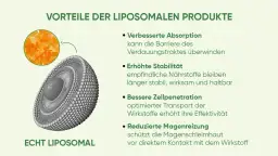 Liposomales Vitamin C: Höhere Bioverfügbarkeit für Ihre Gesundheit