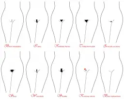 Linia bikini: Gdzie jest i jak wybrać idealną depilację?