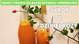 Jak zrobić sok z dzikiej róży? Pełny poradnik na zimową odporność.