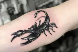Tatuaż skorpiona: symbolika, znaczenie i co mówi o Tobie?