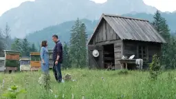 Kto śpiewa w filmie miłość jak miód? Odkryj tajemnice soundtracku