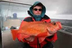 Karmazyn – dlaczego to dobra ryba dla zdrowia i smaku?