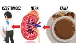 Czy kawa nawadnia organizm? Odkryj prawdę o jej właściwościach