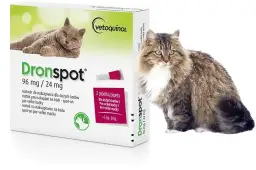 Ile kosztuje odrobaczanie kota? Poznaj ceny i uniknij wysokich wydatków