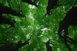 Rezerwaty przyrody w Warszawie – odkryj ich niezwykłe bogactwo