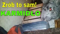 Jak zrobić karmidło zasypowe dla królików - proste i tanie rozwiązania