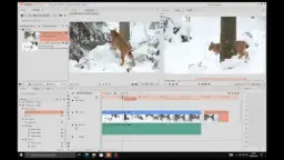 Jak wyodrębnić klatkę z wideo? Poradnik krok po kroku