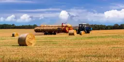 Rolnictwo w Australii: Najnowsze trendy i zmiany w sektorze rolniczym