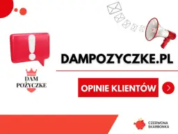Opinie o dam pożyczkę: Dampozyczke.pl vs Dam Pożyczkę.pl