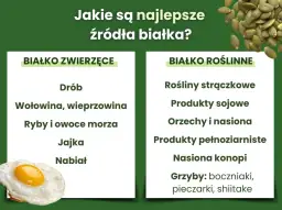Najlepsze roślinne źródła białka: Lista, porady, pełnowartościowa dieta