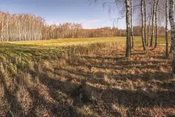 Kiedy nowelizacja ustawy o obrocie ziemią rolną wprowadza zmiany?