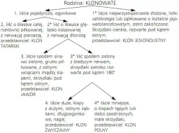 Biologia co to jest: Klucz do zrozumienia życia i organizmów
