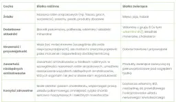 Białko roślinne: Czy jest pełnowartościowe? Obalamy mity!