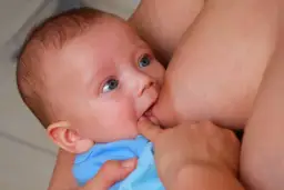 Jak często karmić piersią 2-miesięczne dziecko: 7 kluczowych zasad