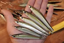 Najlepsze przynęty na morskie trocie, które zwiększą Twoje szanse na sukces