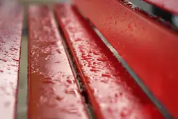 Jakie deski wybrać na ławkę ogrodową?