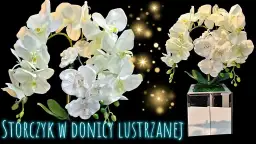 Jak zrobić storczyka w doniczce - proste sposoby na piękne kwiaty