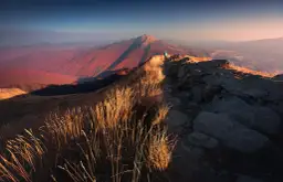 Bieszczady: jaki szlak wybrać? Znajdź trasę idealną dla siebie