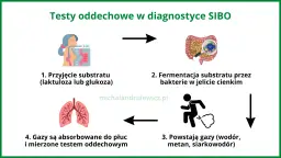 Jak czytać diagnozę SI? Wzorcowy przykład i co dalej